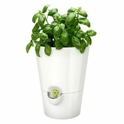 Großhandel 🎉 EMSA FRESH HERB Kräutertopf 13x17 Cm, Weiß, 521244 ⌛ -Thermos cup Sale unnamed file 1845