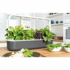 Bestes Angebot 😍 Emsa Gewächsstation CLICK&GROW SMART GARDEN 9 Grau 👍 -Thermos cup Sale unnamed file 2291