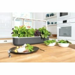 Bestes Angebot 😍 Emsa Gewächsstation CLICK&GROW SMART GARDEN 9 Grau 👍 -Thermos cup Sale unnamed file 2295