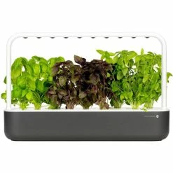 Bestes Angebot 😍 Emsa Gewächsstation CLICK&GROW SMART GARDEN 9 Grau 👍 -Thermos cup Sale unnamed file 2296