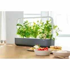 Bestes Angebot 😍 Emsa Gewächsstation CLICK&GROW SMART GARDEN 9 Grau 👍 -Thermos cup Sale unnamed file 2303