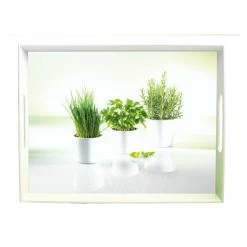 Beste Bewertungen von 👍 Emsa Serviertablett CLASSIC Motiv: Herbs 500 X 370 Mm 🎁