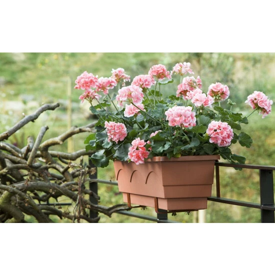 Beste Bewertungen von 🥰 Emsa Lago Blumenkasten 100 X 22 X 18 Cm, Dunkelbraun, 503323 ✨ 2 Beste Bewertungen von 🥰 Emsa Lago Blumenkasten 100 X 22 X 18 Cm, Dunkelbraun, 503323 ✨ – Bild 2