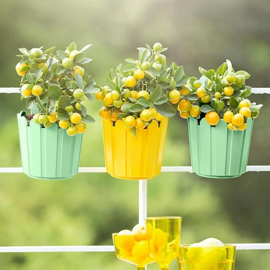 Coupon 👍 Emsa Blumenkübel LANDHAUS Fässchen Rund Weiß 😀 4 Coupon 👍 Emsa Blumenkübel LANDHAUS Fässchen Rund Weiß 😀 – Bild 4