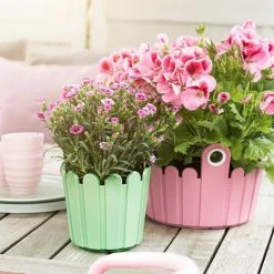 Großhandel 🛒 Emsa Landhaus Fässchen Blumenkübel Ø15 Cm, Gelb, 513447 🔥 -Thermos cup Sale unnamed file 3036