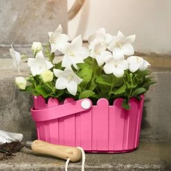 Budget 😀 EMSA LANDHAUS KÖRBCHEN Blumenkübel 28x18 Cm, Gelb, 513926 🥰 9 Budget 😀 EMSA LANDHAUS KÖRBCHEN Blumenkübel 28x18 Cm, Gelb, 513926 🥰 -Thermos cup Sale unnamed file 3043