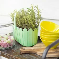 Budget 😀 EMSA LANDHAUS KÖRBCHEN Blumenkübel 28x18 Cm, Gelb, 513926 🥰 10 Budget 😀 EMSA LANDHAUS KÖRBCHEN Blumenkübel 28x18 Cm, Gelb, 513926 🥰 -Thermos cup Sale unnamed file 3044