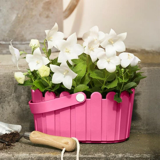 Coupon 🛒 Emsa Körbchen Landhaus 28x18cm Rotviolett, Rotviolett (1 Stück) 🎉 3 Coupon 🛒 Emsa Körbchen Landhaus 28x18cm Rotviolett, Rotviolett (1 Stück) 🎉 – Bild 3