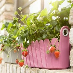 Blitzangebot 😍 Emsa LANDHAUS Jardinière 39 X 15 Cm Gelb 👏 7 Blitzangebot 😍 Emsa LANDHAUS Jardinière 39 X 15 Cm Gelb 👏 -Thermos cup Sale unnamed file 3230