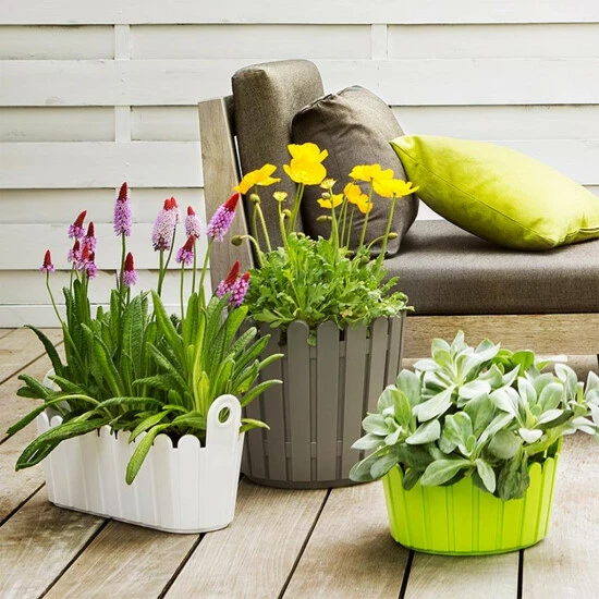 Blitzangebot 😍 Emsa LANDHAUS Jardinière 39 X 15 Cm Gelb 👏 5 Blitzangebot 😍 Emsa LANDHAUS Jardinière 39 X 15 Cm Gelb 👏 – Bild 5